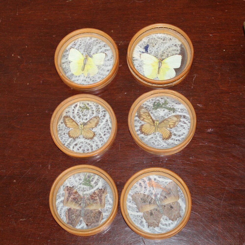 Vintage Pressed Butterflies In Bamboo Rattan Wicker Framed Coaster Set of 6 MCM